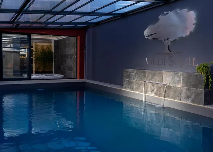 Villa Seyal - avec piscine - jacuzzi - sauna&climatisation Le Mans